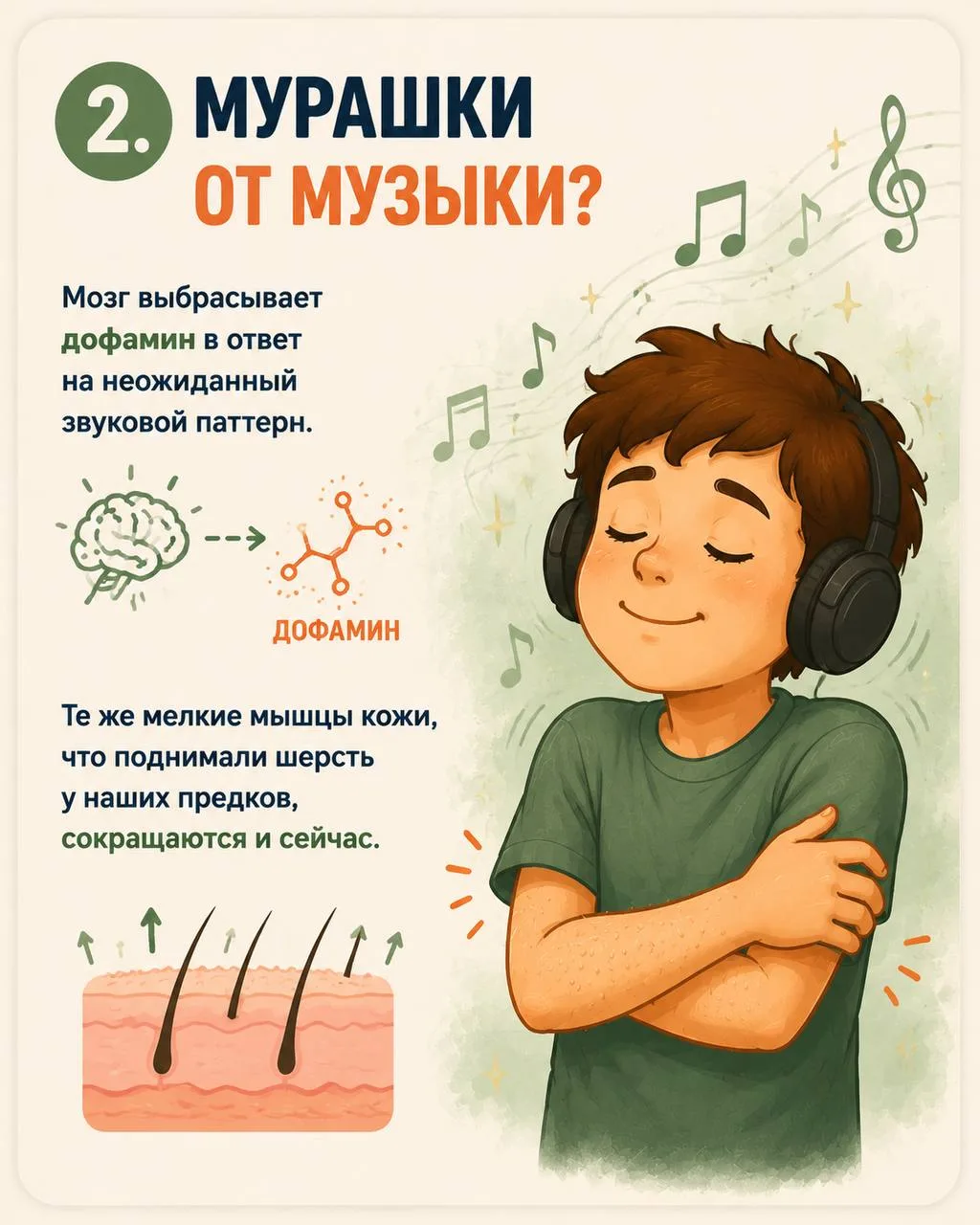 Тело никогда не делает ничего просто так.  Подёргивание при засыпании, мурашки от музыки, дрожь посл