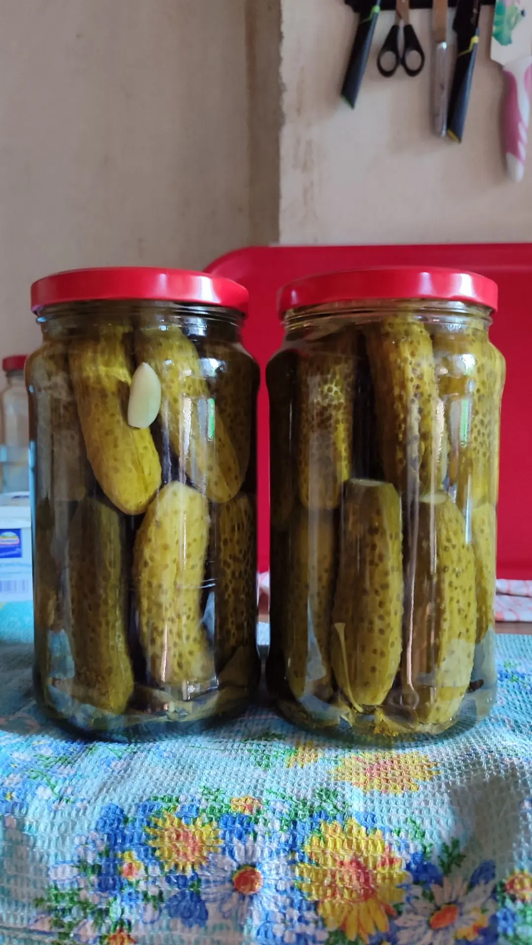 Рыба-карась, игра началась 🤣🤣🤣