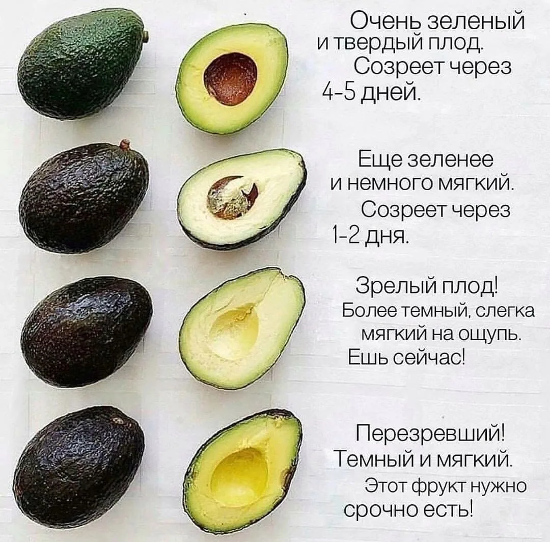 Напомню как выбрать авокадо!?🥑😊А вы используете в своём рационе авокадо 🥑?