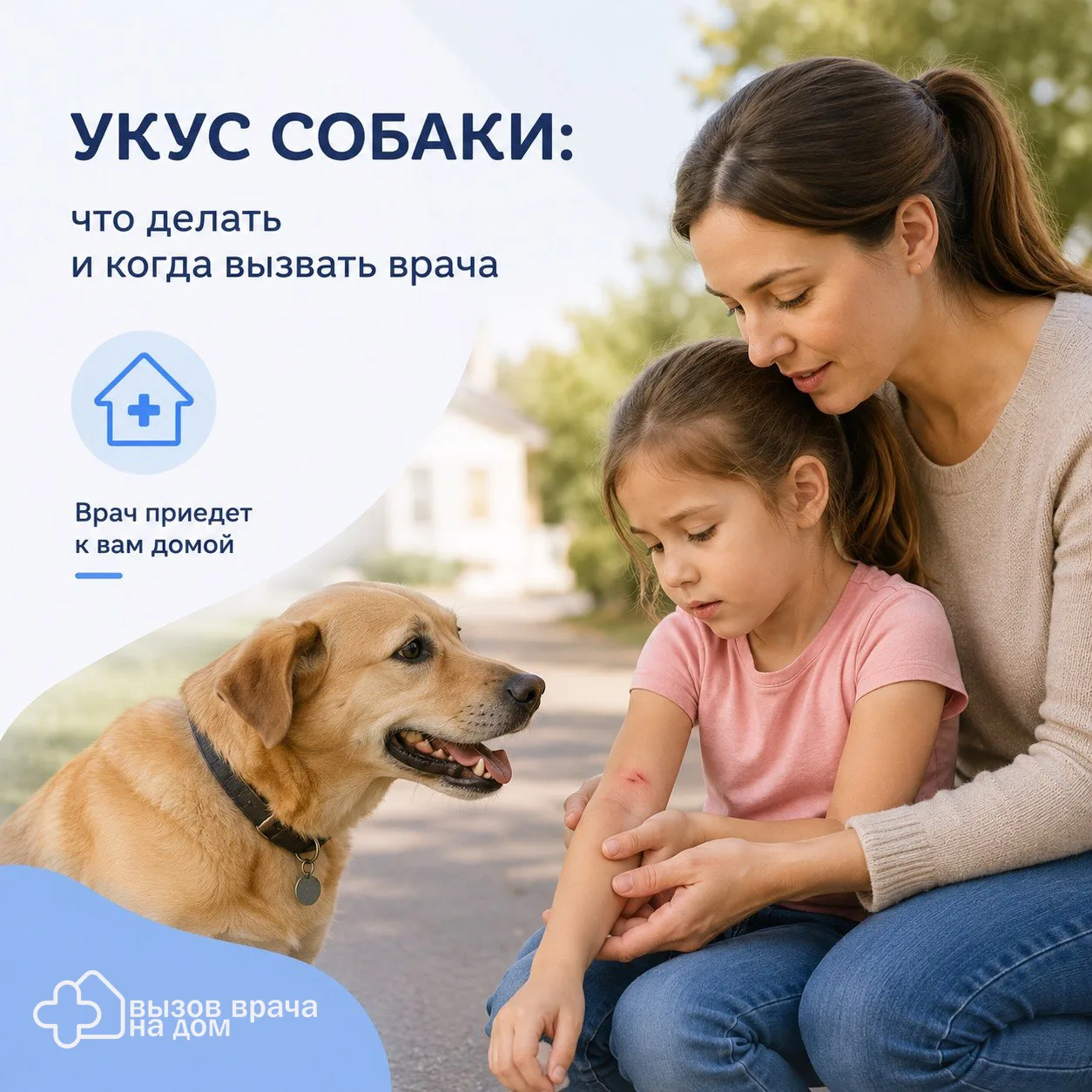 🐕 Что делать, если укусила собака?

Даже небольшой укус или царапина требуют внимания. Через повреж