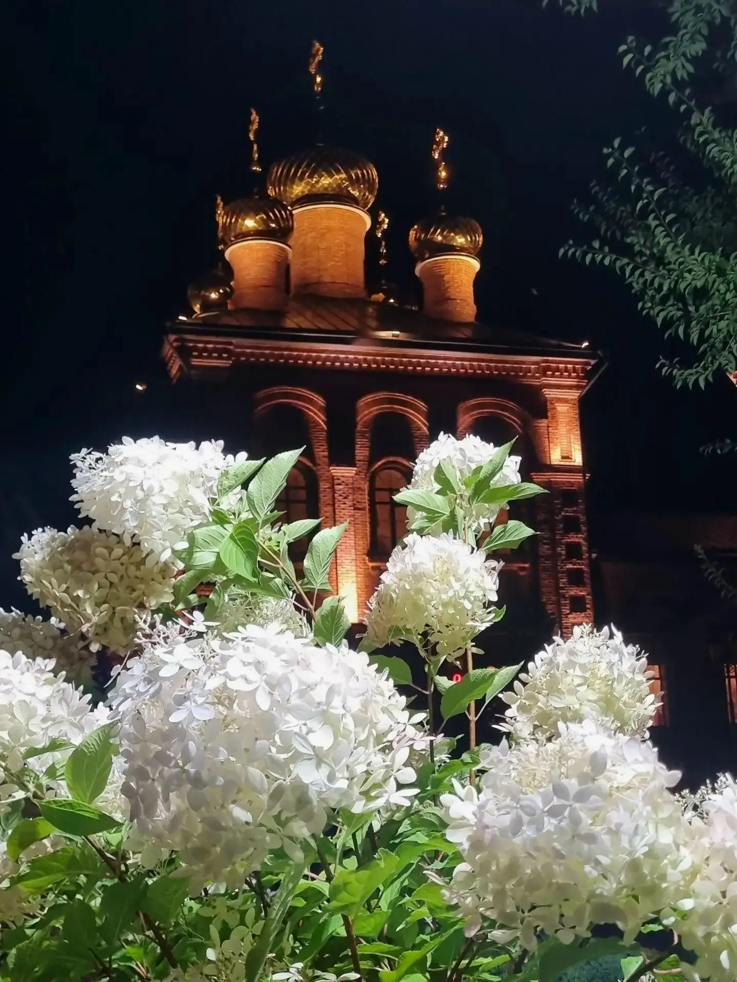 Пусть всё будет замечательно у каждого, кто увидел этот пост ♥