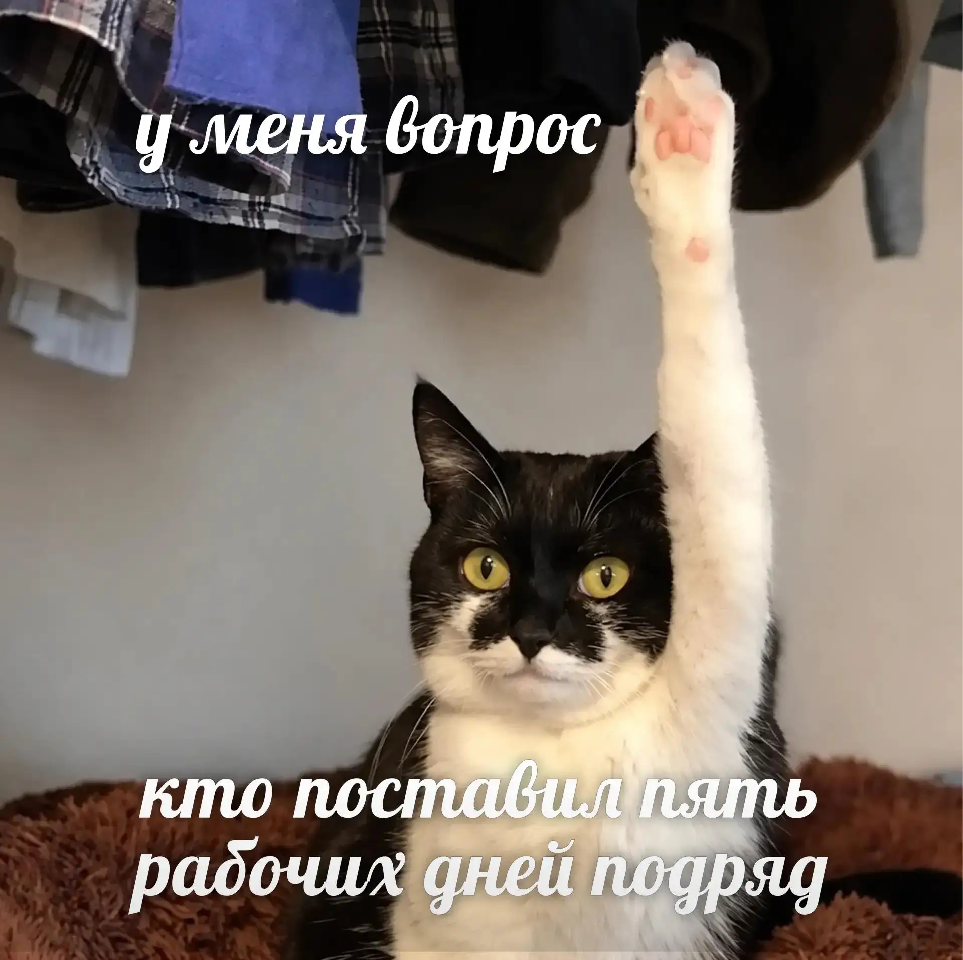 🗓️ Пять подряд — действительно многовато