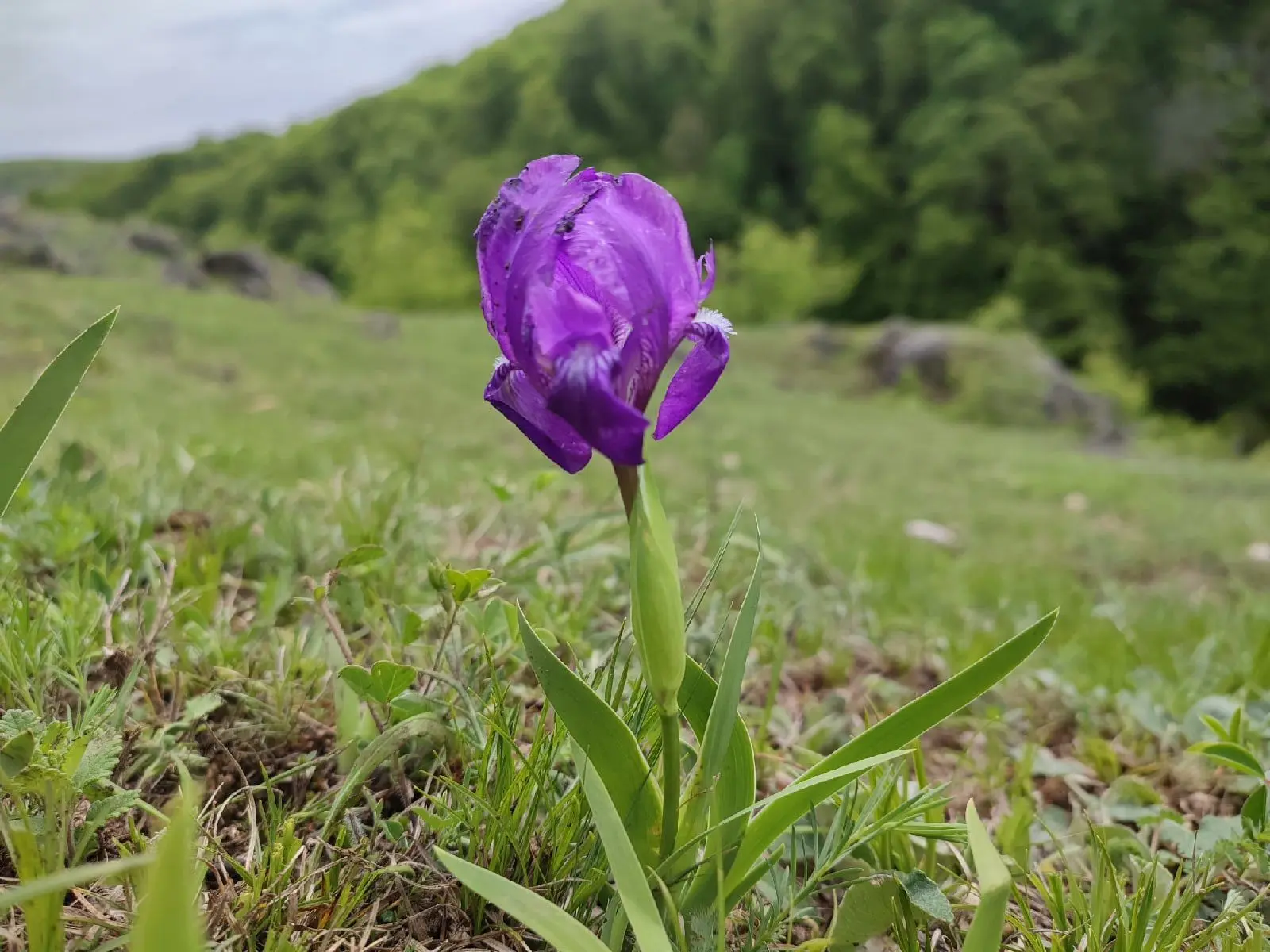 В Адыгее всё цветет, куда ни бросишь взгляд. 💖