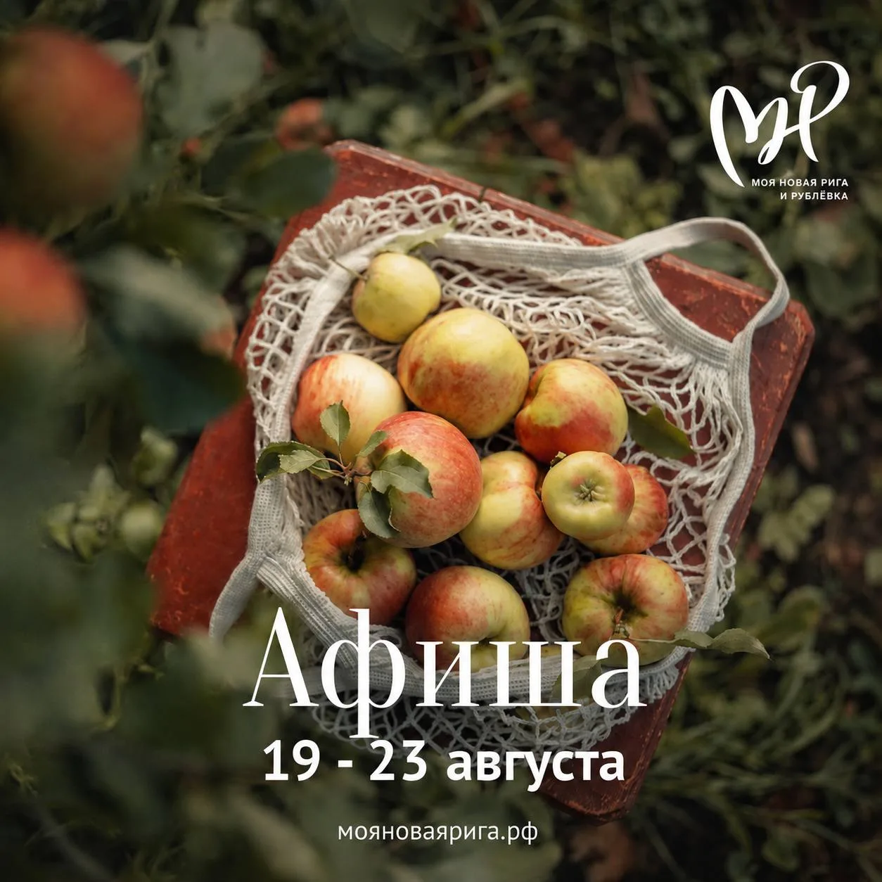 Афиша на Новой Риге и Рублевке