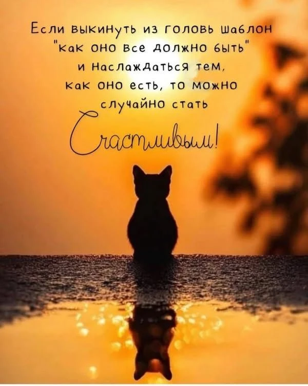 Так и есть!

Мир для двоих... ❤️