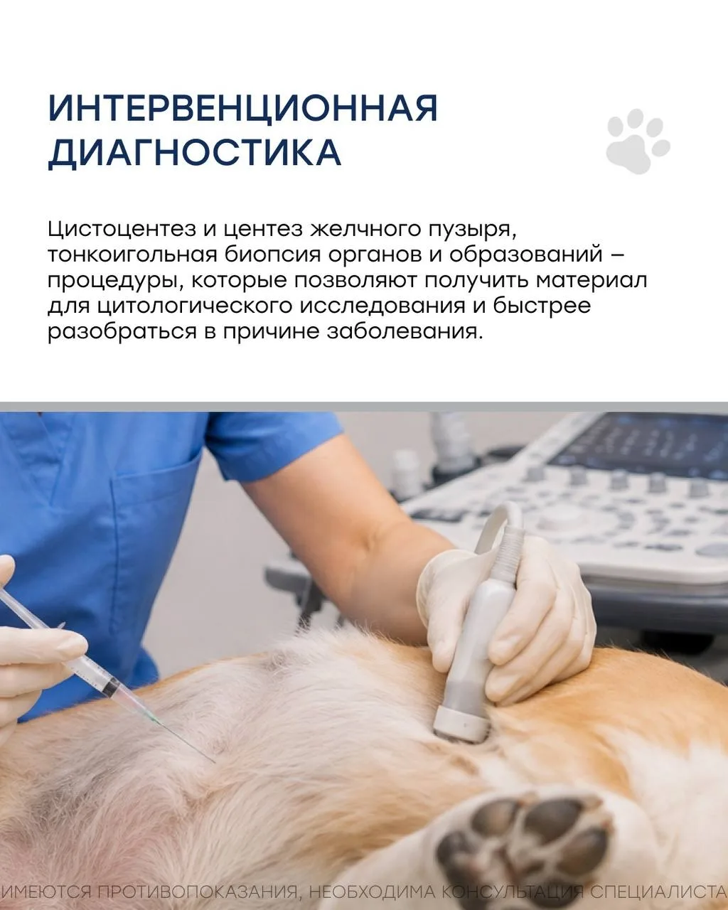 Изображение 5 к публикации «ПВА»