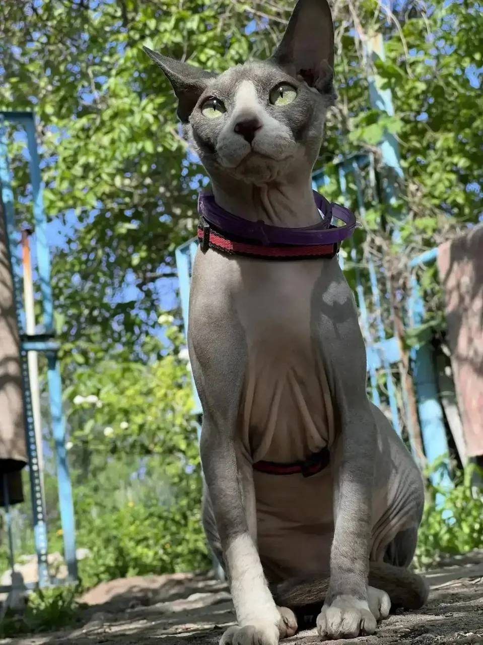 На связи рубрика «Короче, найдись».