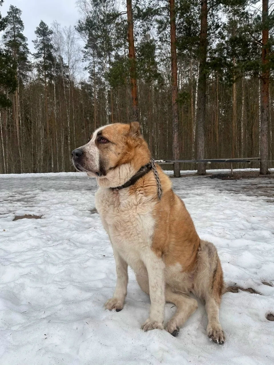 Всеволожский район. Садоводство Дунай, СНТ ЛГПИ, 4 линия. Сегодня ночью от взрывов убеж...