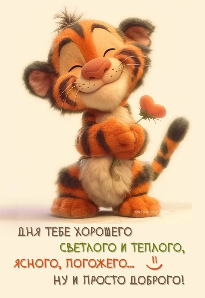 Рай открыток | Открытки 🥰