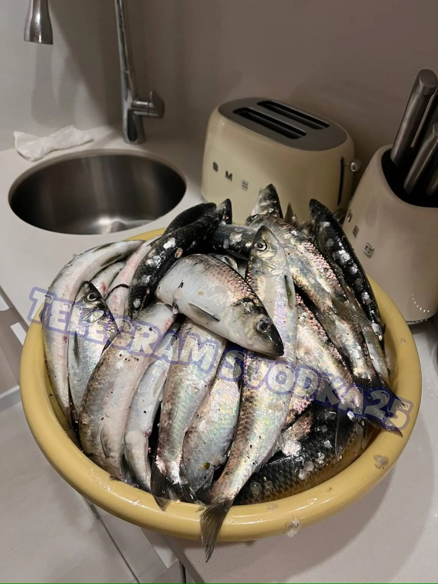 Во Владивостоке на Токаревской кошке море кишит рыбой — люди вылавливают ее руками и ун...
