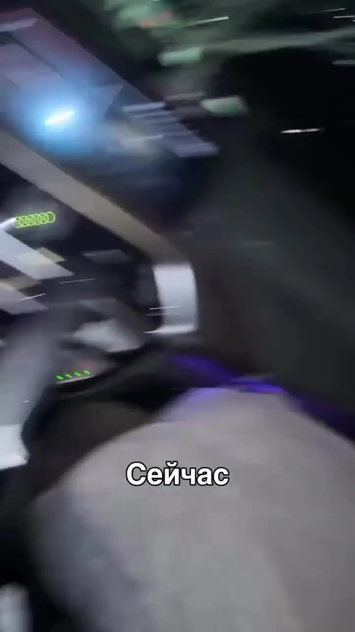 В Подмосковье лось протаранил автомобиль на трассе, едва не убив молодую пару. Ещё одна...