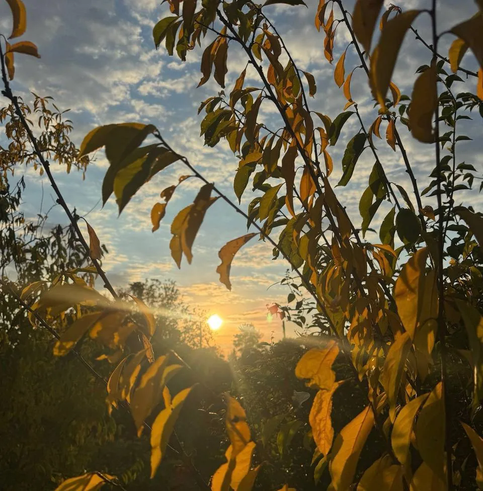 Погода в Вихоревке 5 октября 🍁