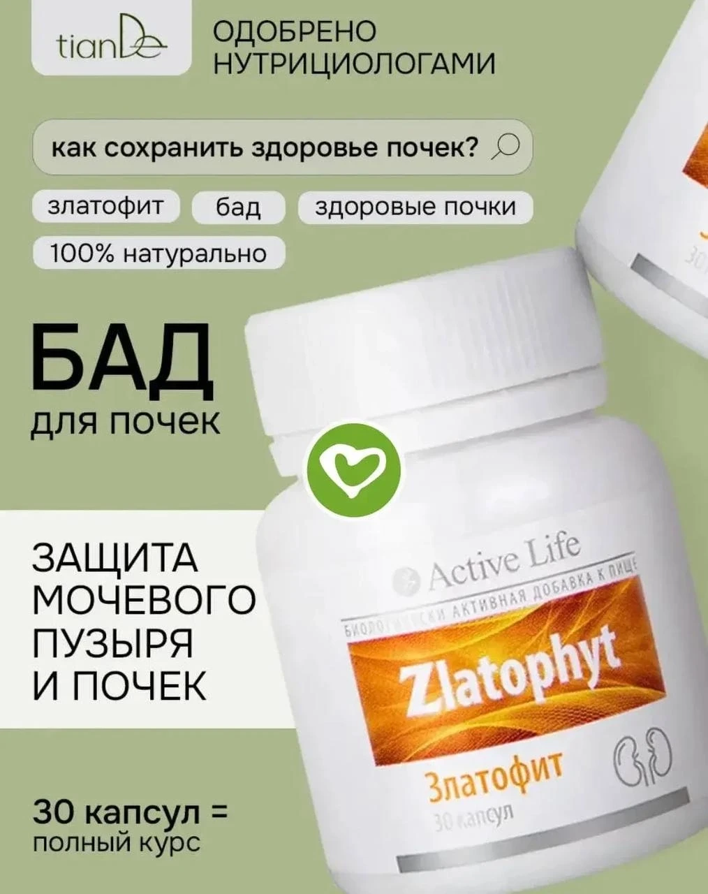 Функциональный комплекс «Златофит» – средство профилактики почечных проблем.