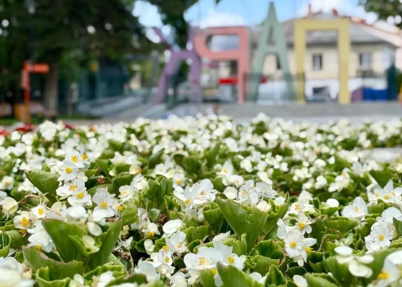 Доброго субботнего утра 💜  Сегодня слабый дождь, +16⁠…⁠+26⁠°, ветер 3⁠–⁠6 м⁠/⁠с, порывы до 11 м⁠/⁠с.