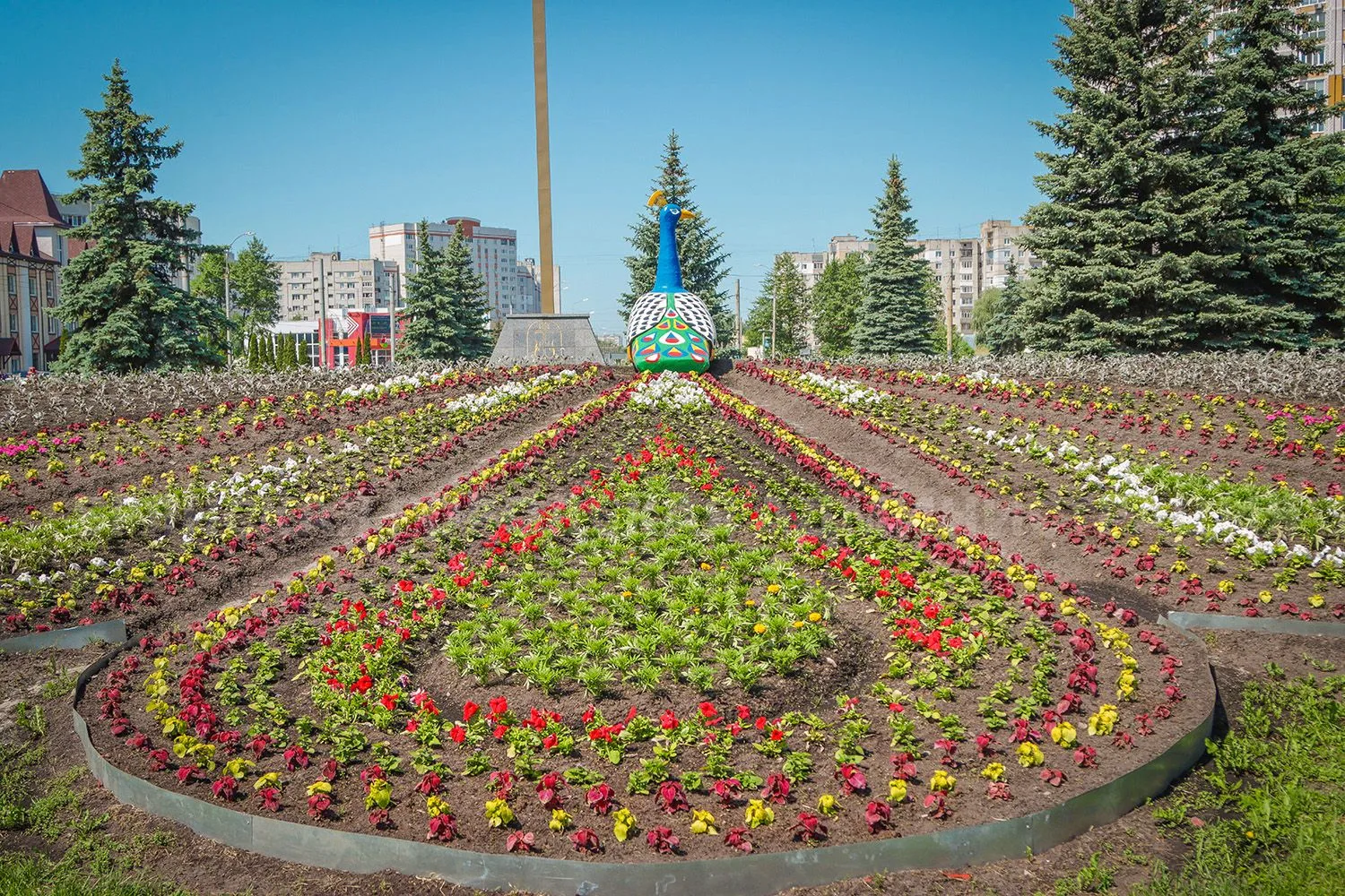На въезде в Брянск зацвела Жар-птица  «Брянск – город цветов» — это понимает каждый въезжающий в обл