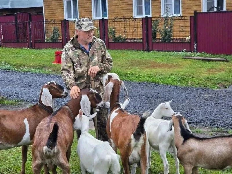 ⚡️Житель Цивильского округа занялся разведением овец благодаря соцконтракту