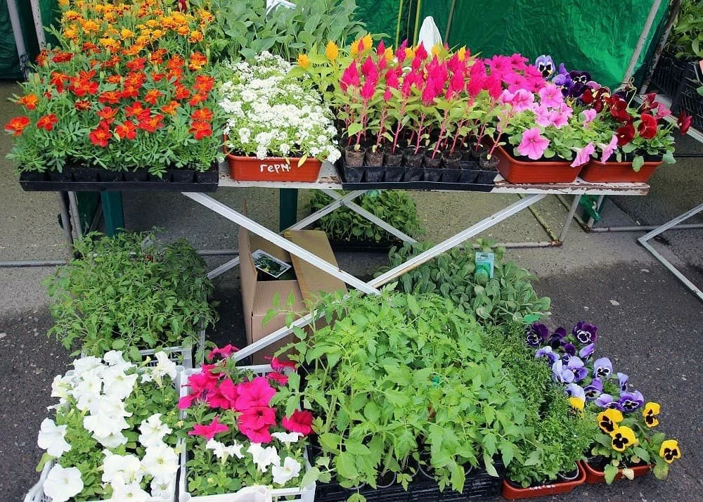 🌸Совсем скоро наша торговая площадь заиграет новыми красками!