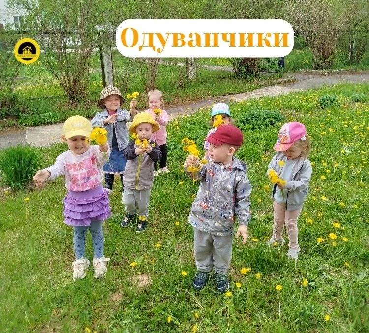 Казалось бы, совсем недавно дети с восторгом наблюдали за яркими желтыми одуванчиками. ...