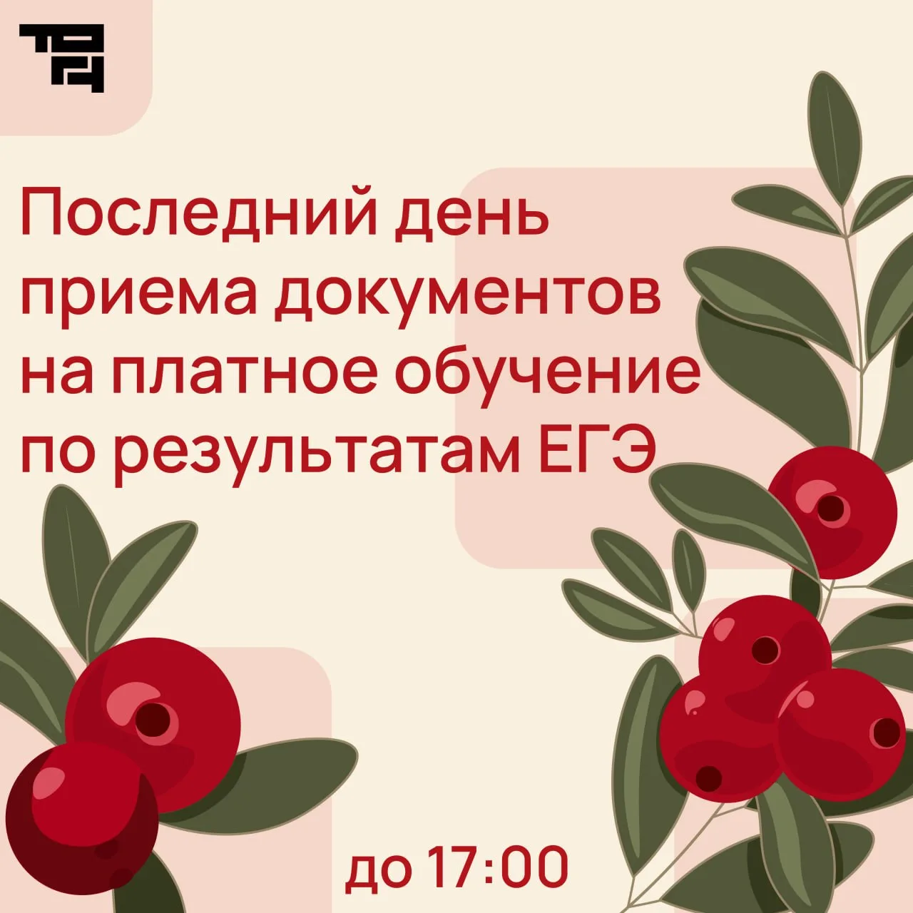 🫐Привет, абитуриент!