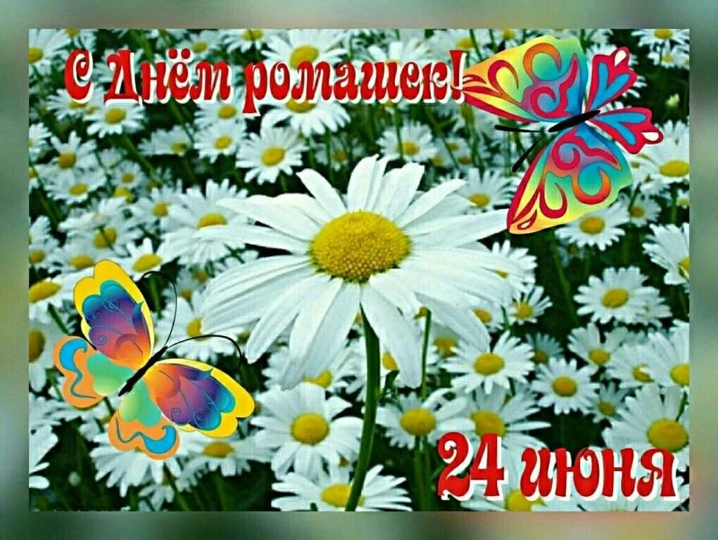 Я ромашку на лугу