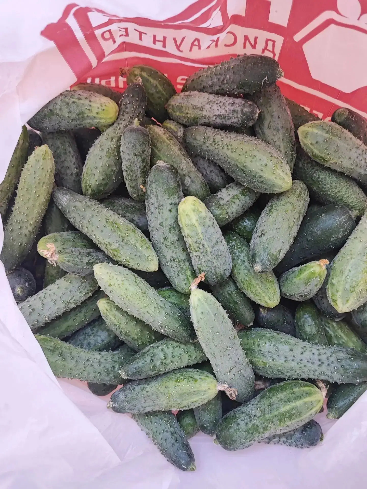 Продам огурцы, цена 800 руб./5 кг. Самовывоз район Центрального рынка. 89242775817