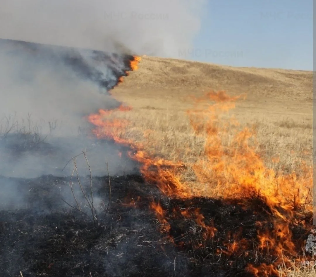 Степь горит быстрее, чем бежит человек ⚠️🔥

Лето в Калмыкии вошло в свою самую жаркую фазу. Напомин