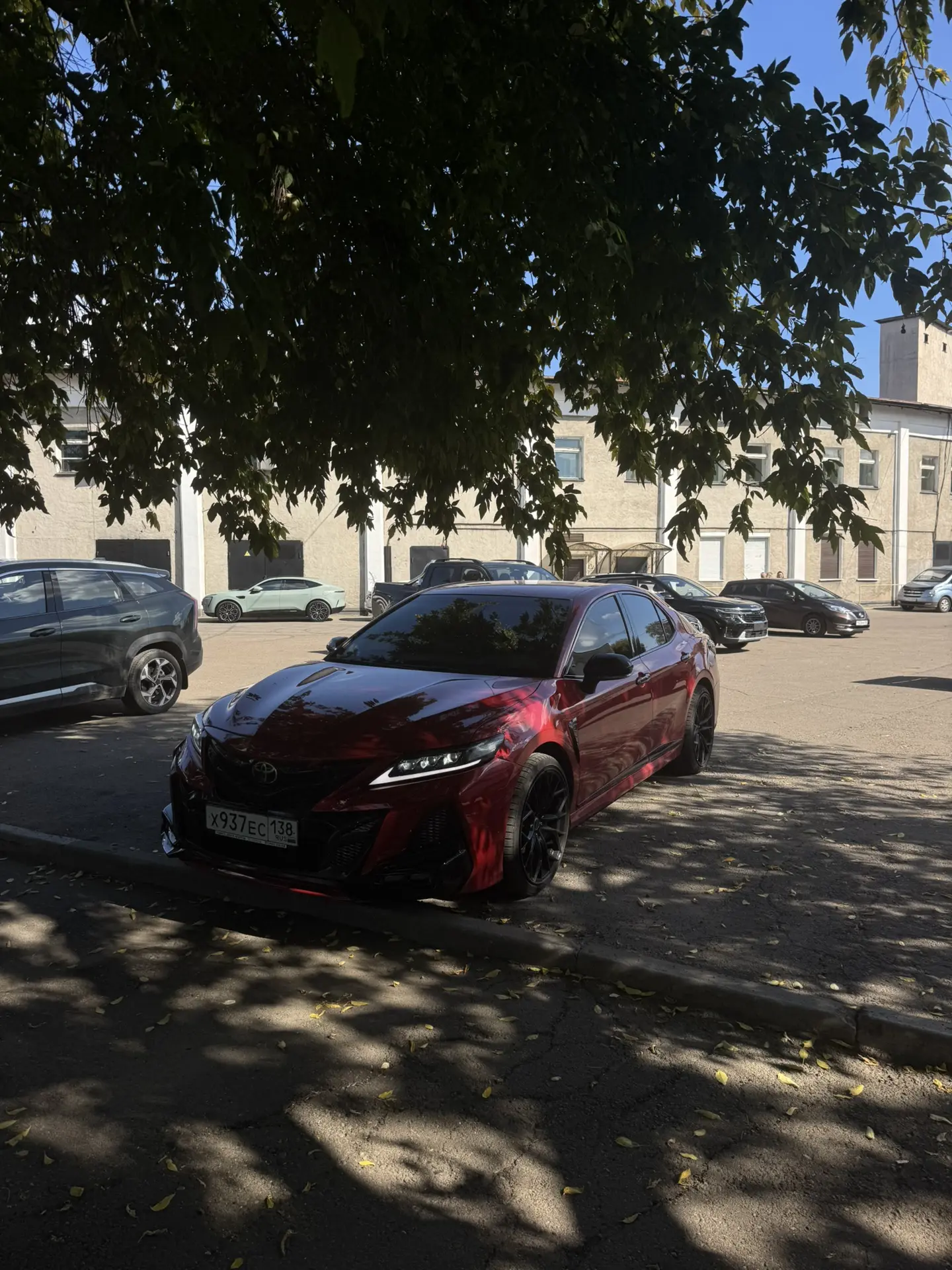 Оптика от Lexus ❤️