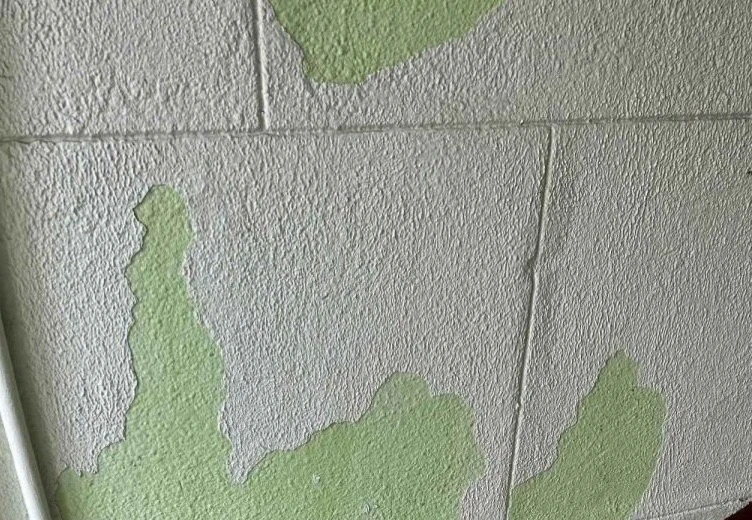 🏚️ Житель пожаловался на состояние подъезда на улице Плеханова