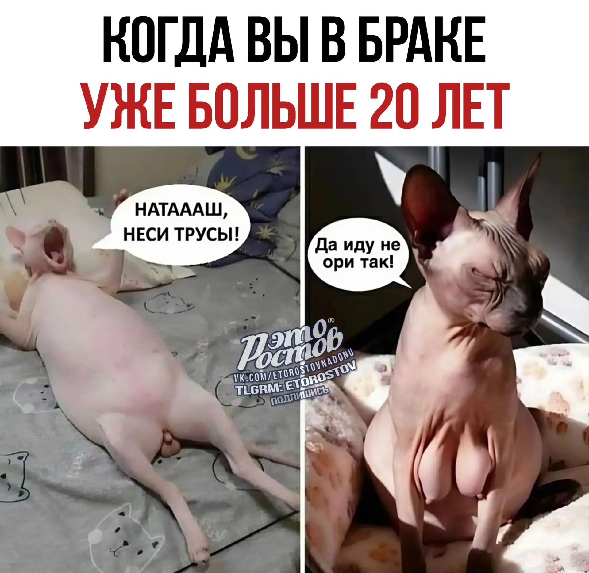 😂
