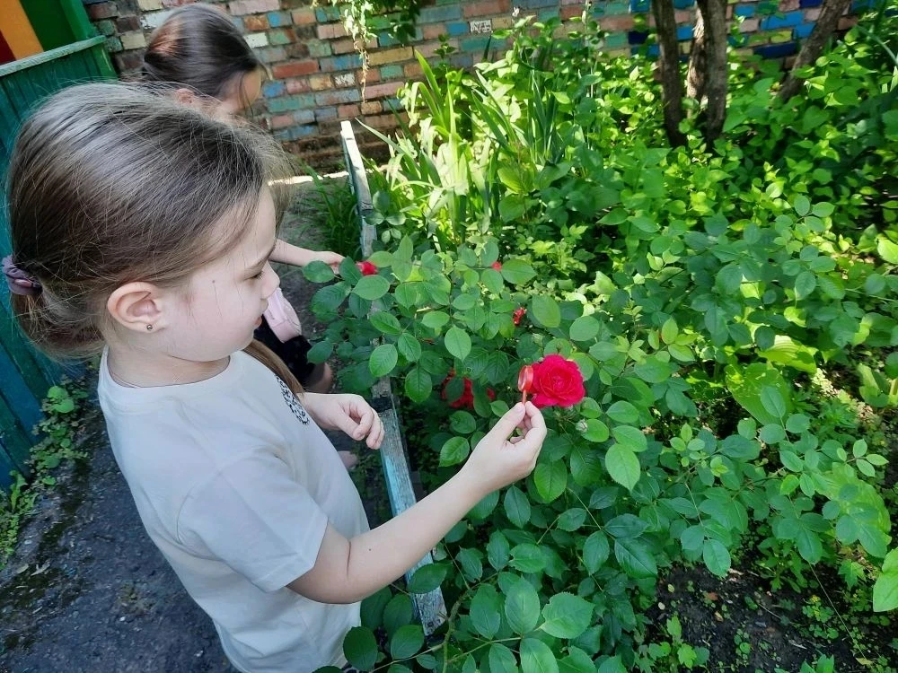 «Лето красное - для цветов пора прекрасная!». 
Ознакомление с природой является одной из важнейших з