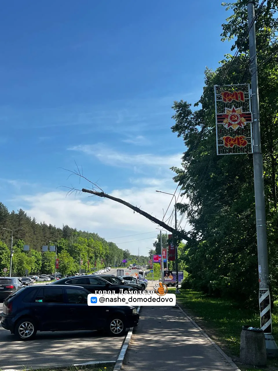 Напротив парка елочки, дерево упало на провода, и провод на остановке висит  Прислали нашему боту t.