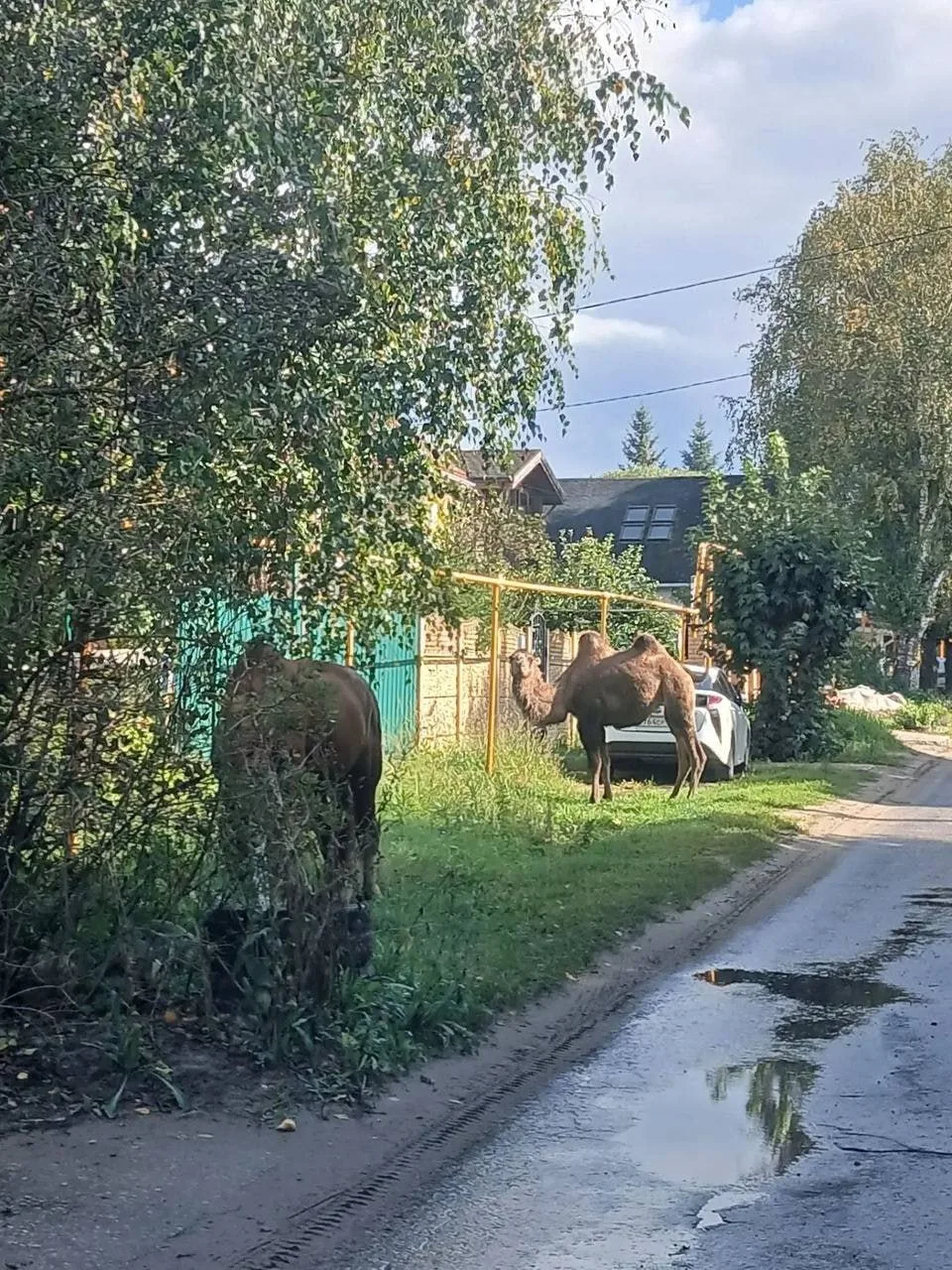 ❗️😁Обычный пейзаж в Борском Октябрьском