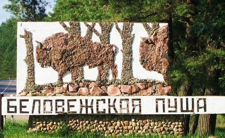 Центр изучения дикой природы в Беловежской пуще откроют в начале июля

Строительство международного 