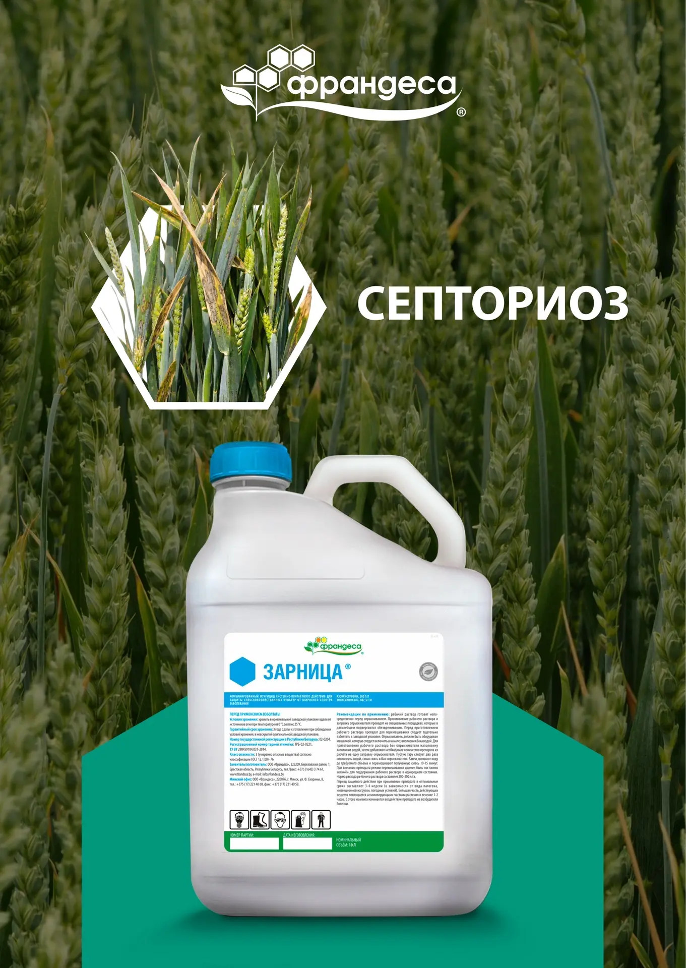 🌾 Септориоз озимой пшеницы: как сохранить флаговый лист и урожай?
