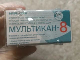 💉 В Башкирии из оборота изымают бракованную ветвакцину