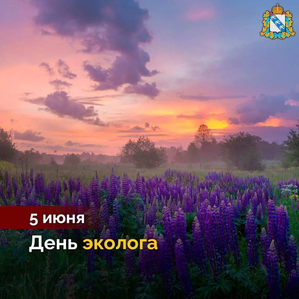 🌳 5 июня отмечается День эколога. От души поздравляем работников и ветеранов экологиче...