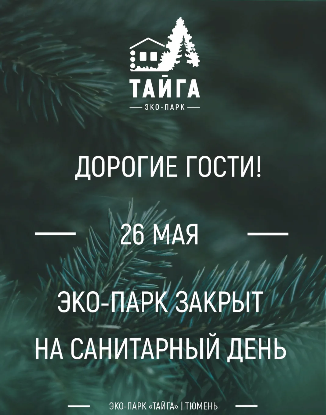 Дорогие гости!🌲