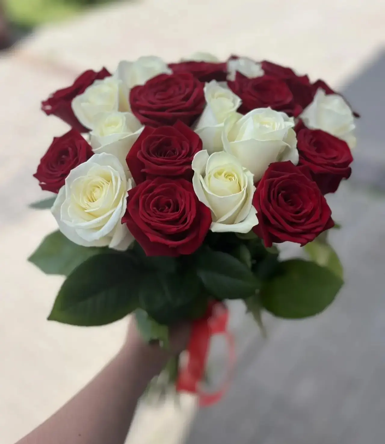 Красные и белые розы ❤️