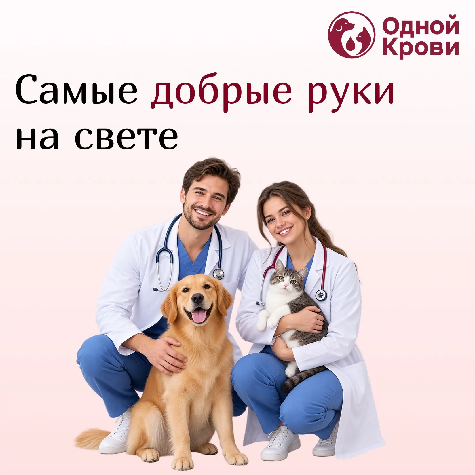 31 августа — День ветеринарного работника