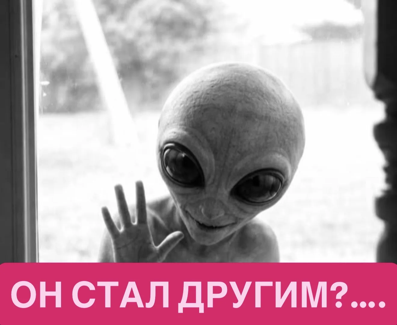 Я ВСЕ ПОНЯЛА, НО ВАМ ЭТО НЕ ПОНРАВИТСЯ…