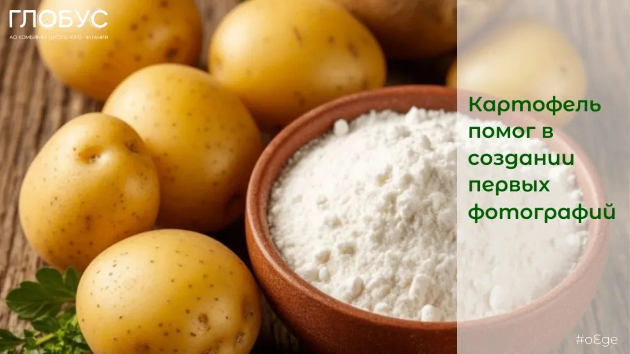 🥔О КАРТОФЕЛЕ
