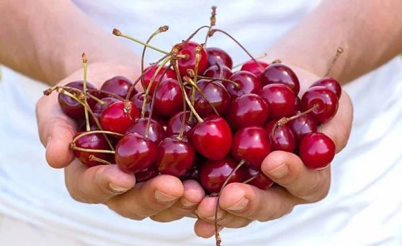 😋  ​​Польза вишни