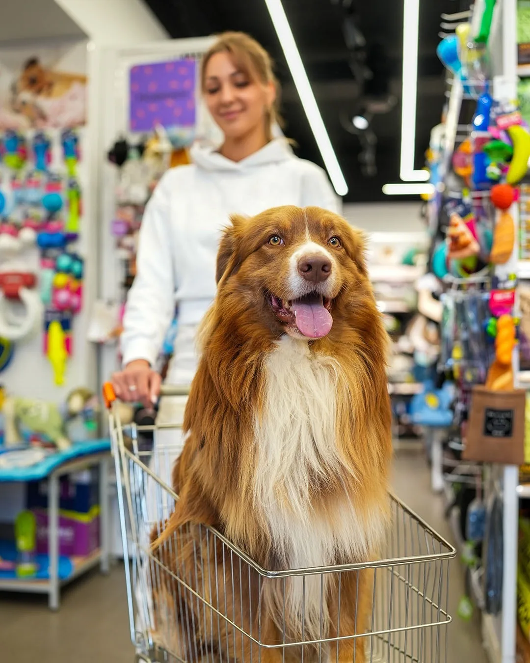 Приглашаем на праздничное открытие нового зоомагазина Четыре Лапы 🐕

Ждем вас и ваших питомцев 13 и