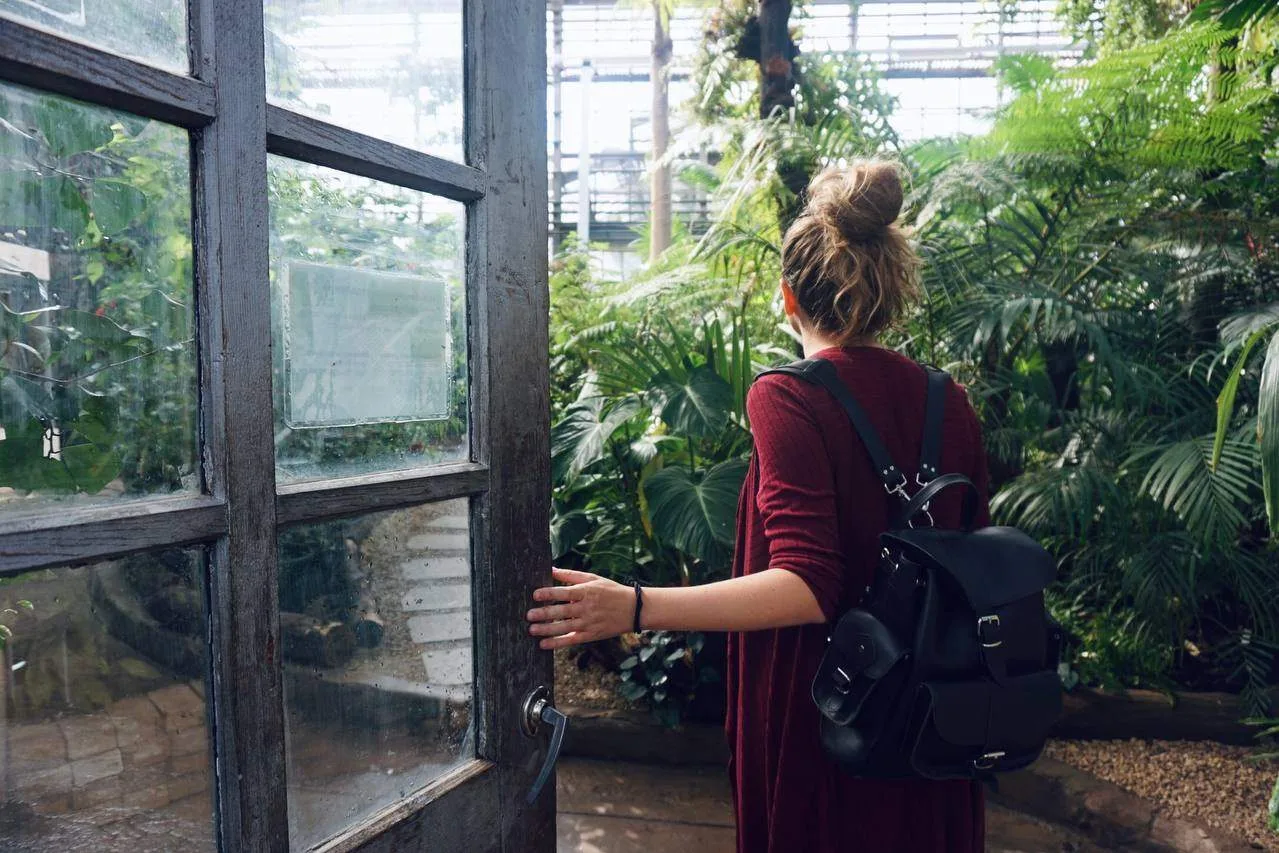 Всё серое? Бегом в оранжерею! 🌿Или к подруге, у которой дома джунгли из фикусов и кактусов🌵Зимой наш