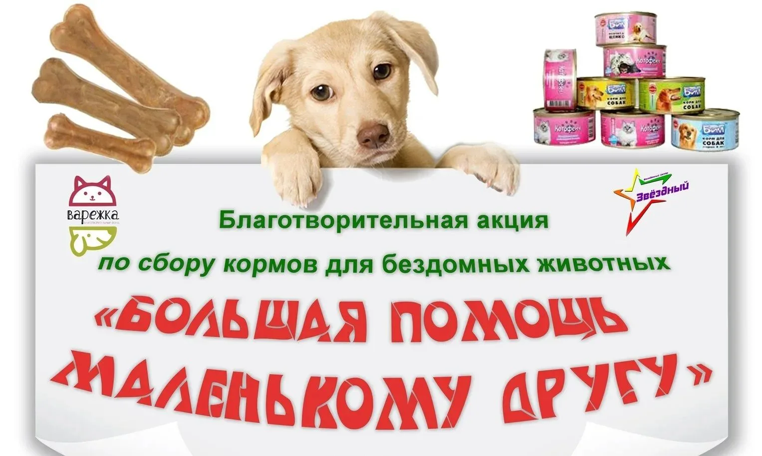 В нашем детском саду проходит акция "Доброе сердце" по сбору кормов  для "братьев наших...