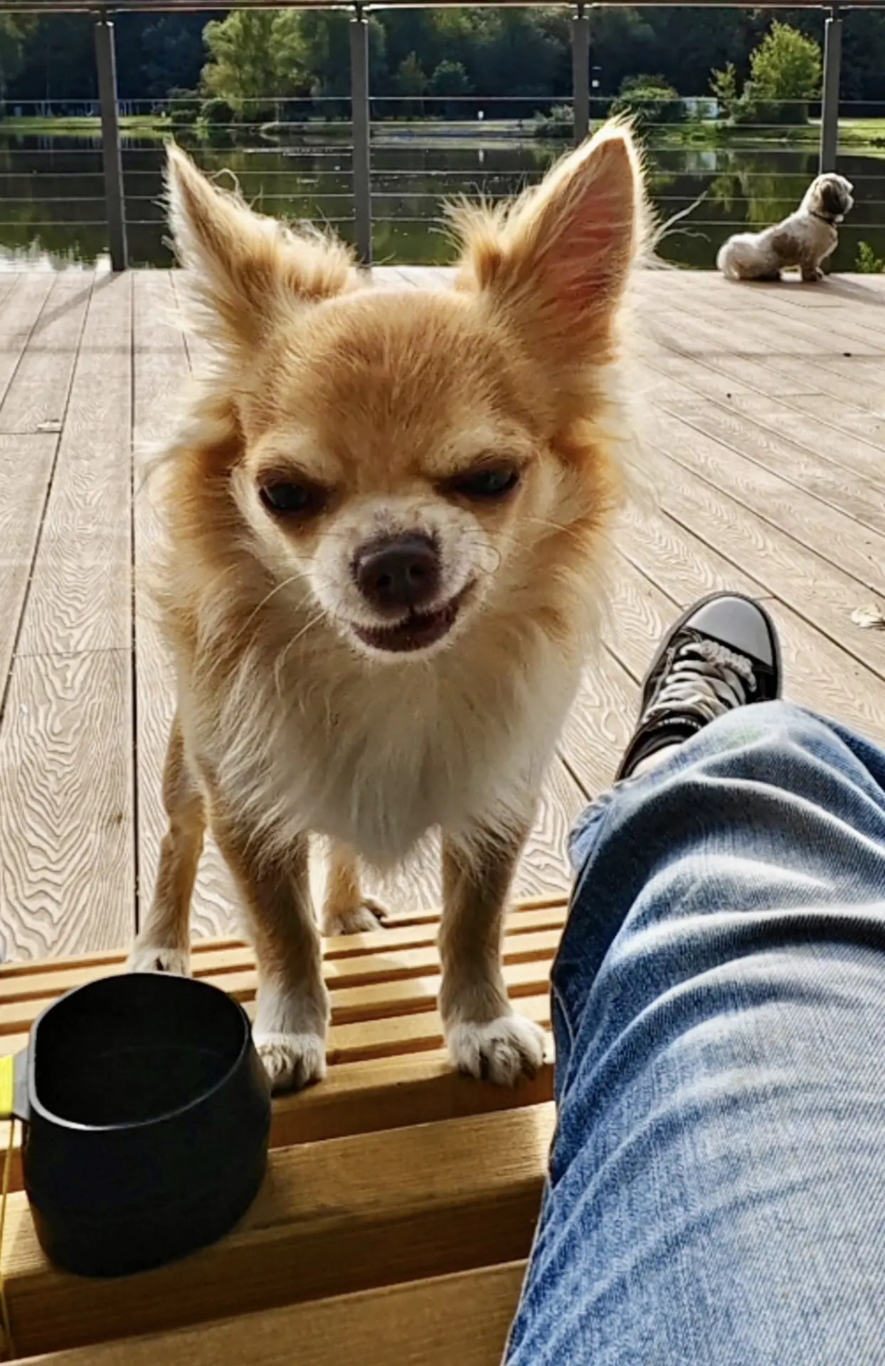 🐾😂👌🏻
Как сказал один умный человек, не помню уже как его звали, и забыл уже, что он сказал, но м