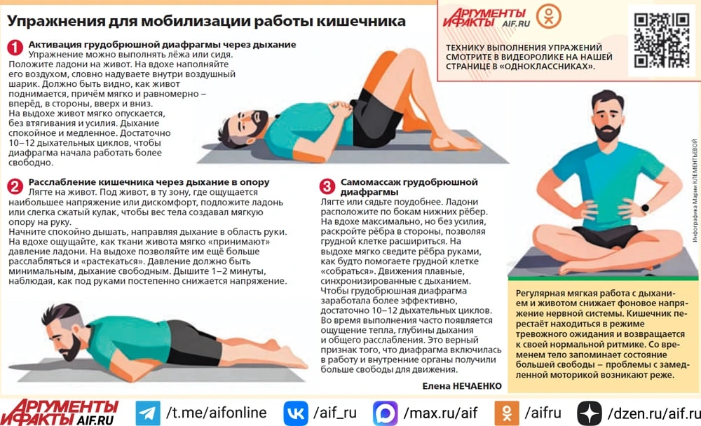 Гимнастика для работы кишечника 

Кишечник может работать вяло даже при сбалансированном рационе — о