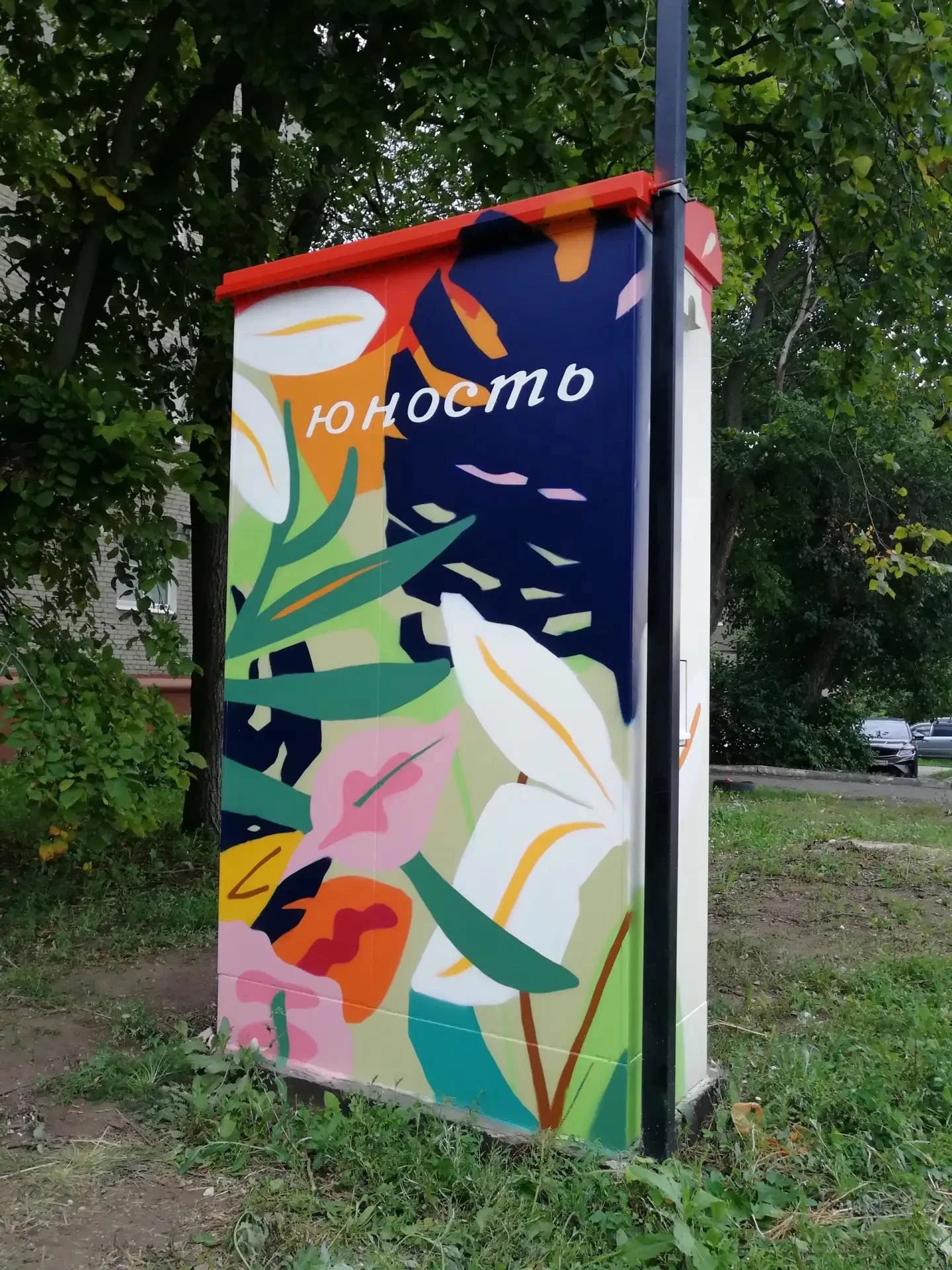 🎨 В Тамбове уличные шкафы превращают в арт-объекты