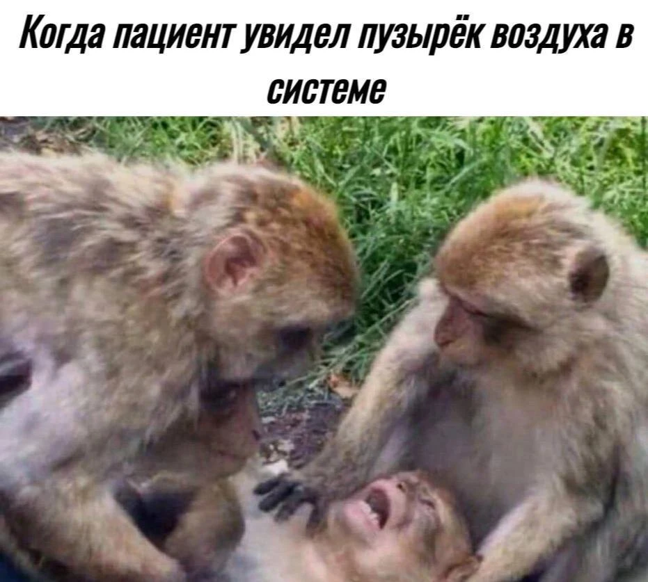 😆😆😆