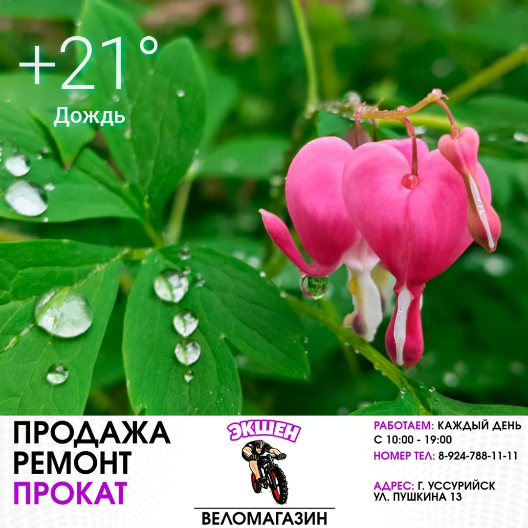 🌧 11 июня